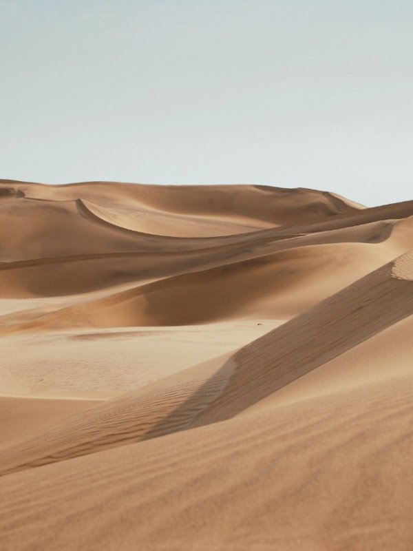 Services Desserts 02