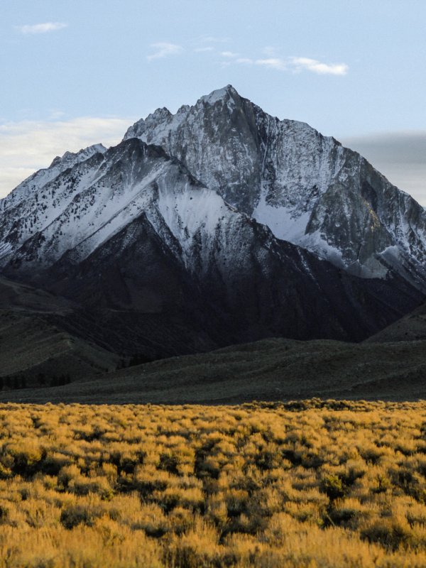 Services Snow Mountains 02